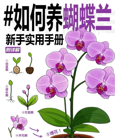 桑椹树病虫防治方法，常见问题解析，实用应对技巧