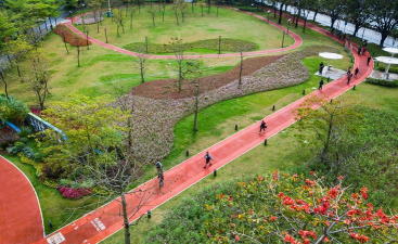 桑椹树病虫防治方法，常见问题解析，实用应对技巧