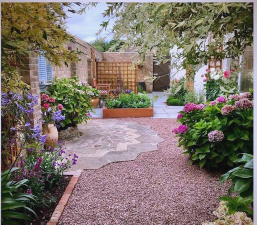 沉香树病害防治方法，识别常见病害，掌握有效应对措施