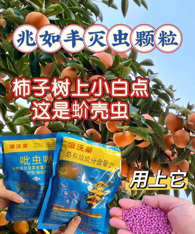沉香树病害防治方法，识别常见病害，掌握有效应对措施