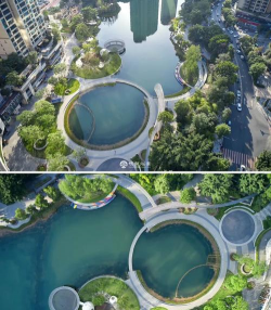 草果栽培，掌握关键技巧，实现高产稳收