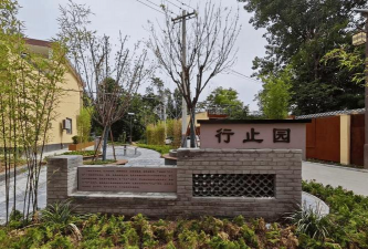 草果栽培，掌握关键技巧，实现高产稳收