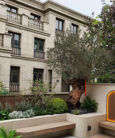 专业绿化设计施工公司,打造理想庭院,提升生活品质 专业绿化设计施工公司,打造理想庭院,提升生活品质