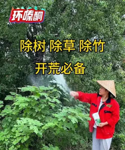 杂树杂草防治,清理方法,预防措施 杂树杂草防治,清理方法,预防措施