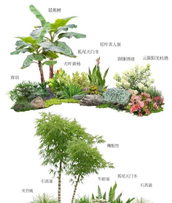 一百平方绿化设计,空间规划要点,植物搭配技巧 一百平方绿化设计,空间规划要点,植物搭配技巧