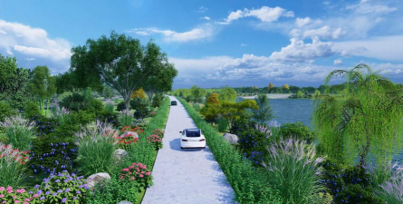 桑椹树病虫防治方法，常见问题解析，实用应对技巧