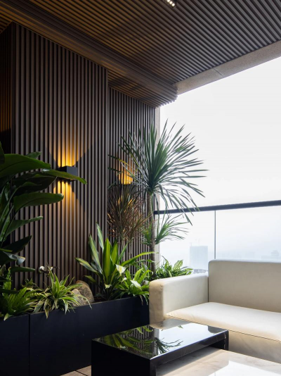 桑椹树病虫防治方法，常见问题解析，实用应对技巧