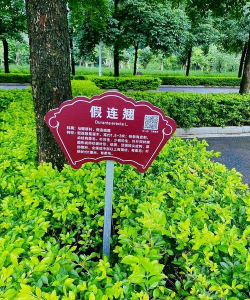 官方绿化设计哪家好点,选择要点,避坑提醒 官方绿化设计哪家好点,选择要点,避坑提醒