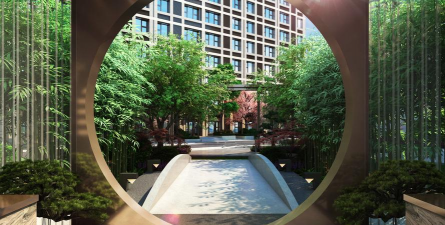 草果栽培，掌握关键技巧，实现高产稳收