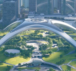 草果栽培，掌握关键技巧，实现高产稳收