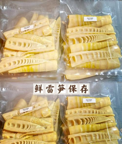 桑椹树病虫防治方法，常见问题解析，实用应对技巧