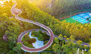 广东普通立体绿化设计,提升城市生态,改善居住环境 广东普通立体绿化设计,提升城市生态,改善居住环境