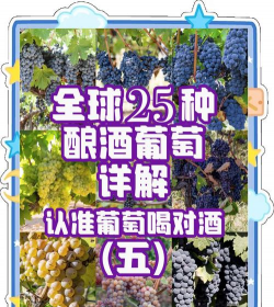 草果栽培，掌握关键技巧，实现高产稳收