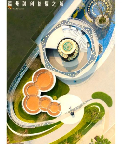 草果栽培，掌握关键技巧，实现高产稳收