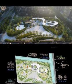 草果栽培，掌握关键技巧，实现高产稳收