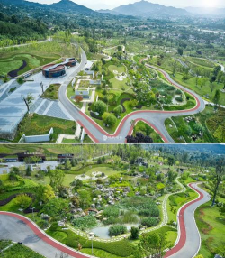 桑椹树病虫防治方法，常见问题解析，实用应对技巧