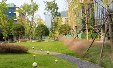 成都绿化场景设计施工，打造宜居环境，提升城市形象