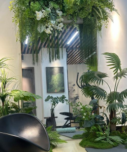 桑椹树病虫防治方法，常见问题解析，实用应对技巧