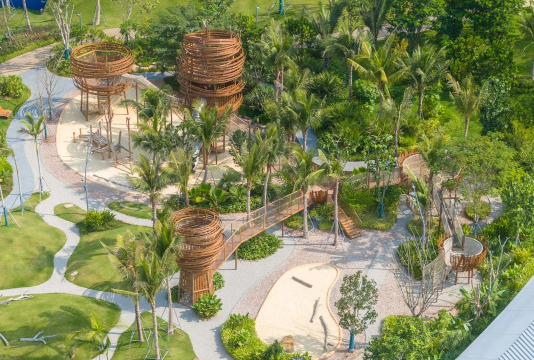 桑椹树病虫防治方法，常见问题解析，实用应对技巧