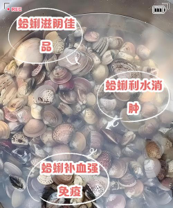 桑椹树病虫防治方法，常见问题解析，实用应对技巧