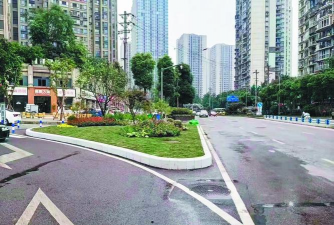 桑椹树病虫防治方法，常见问题解析，实用应对技巧