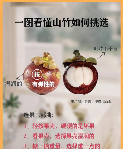 桑椹树病虫防治方法，常见问题解析，实用应对技巧