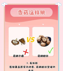 桑椹树病虫防治方法，常见问题解析，实用应对技巧