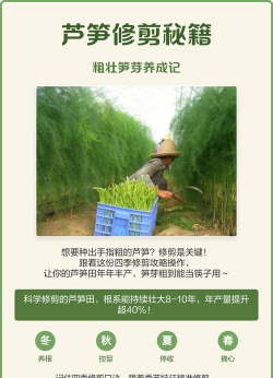 桑椹树病虫防治方法，常见问题解析，实用应对技巧