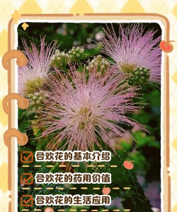 桑椹树病虫防治方法，常见问题解析，实用应对技巧