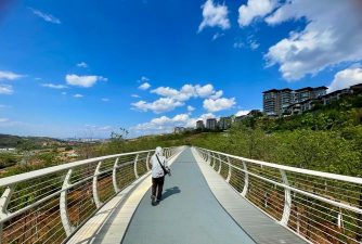 桑椹树病虫防治方法，常见问题解析，实用应对技巧