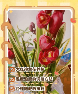 桑椹树病虫防治方法，常见问题解析，实用应对技巧