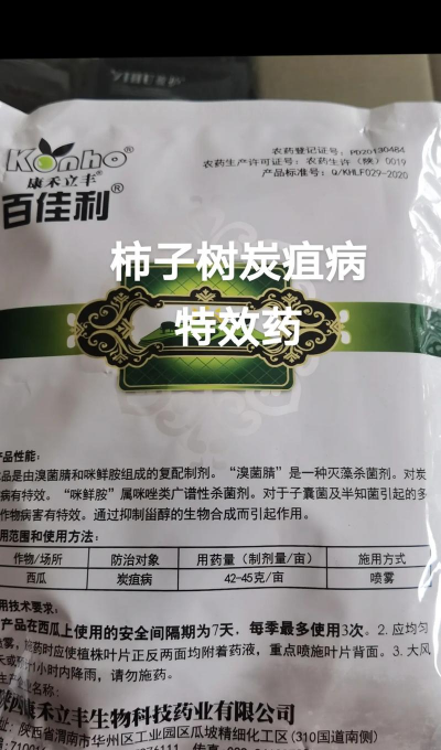 草果栽培，掌握关键技巧，实现高产稳收