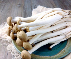 草果栽培，掌握关键技巧，实现高产稳收