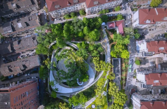 草果栽培，掌握关键技巧，实现高产稳收