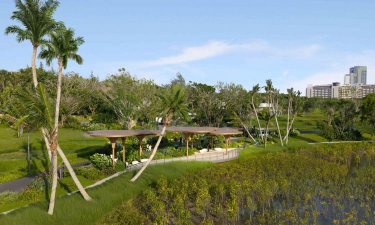 草果栽培，掌握关键技巧，实现高产稳收