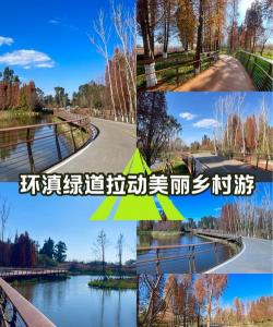 紫荆树白蚁怎么防治，找准方法，避免树木受损