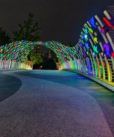 紫荆树白蚁怎么防治，找准方法，避免树木受损