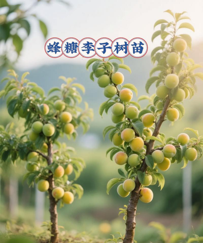 桑椹树病虫防治方法，常见问题解析，实用应对技巧