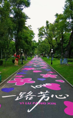 桑椹树病虫防治方法，常见问题解析，实用应对技巧