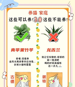 桑椹树病虫防治方法，常见问题解析，实用应对技巧