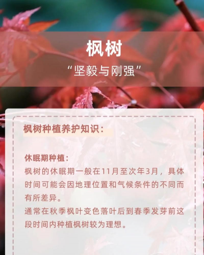 桑椹树病虫防治方法，常见问题解析，实用应对技巧