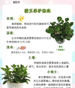 桑椹树病虫防治方法，常见问题解析，实用应对技巧
