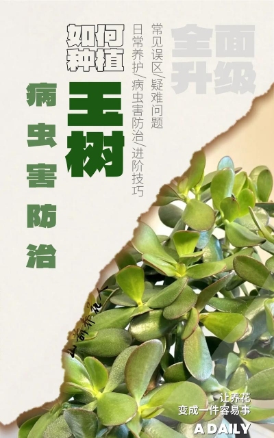 沉香树病害防治方法，识别常见病害，掌握有效应对措施