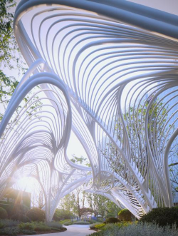 重庆现代立体绿化设计,提升城市生态,打造宜居空间 重庆现代立体绿化设计,提升城市生态,打造宜居空间