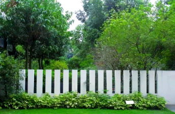 桑椹树病虫防治方法，常见问题解析，实用应对技巧