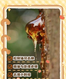 松树树油怎么防治,常见问题解析,实用方法分享 松树树油怎么防治,常见问题解析,实用方法分享