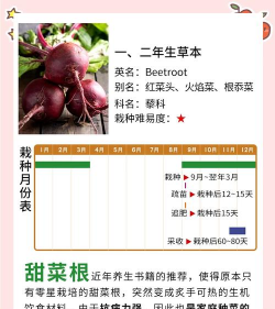 沉香树病害防治方法，识别常见病害，掌握有效应对措施