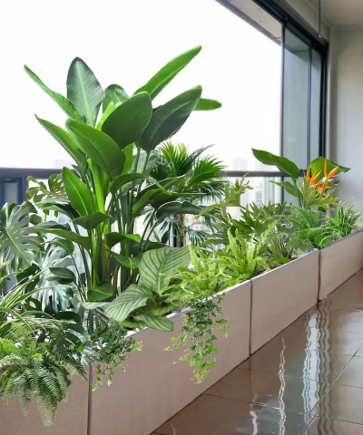 沉香树病害防治方法，识别常见病害，掌握有效应对措施