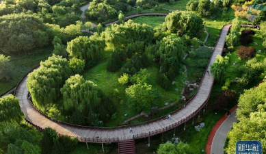 河北组合立体绿化设计，提升城市生态，打造绿色空间