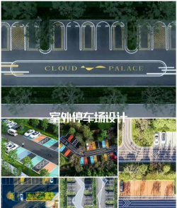 桑椹树病虫防治方法，常见问题解析，实用应对技巧